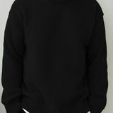 Oversized Knit Sweater with Ribbed Hem and Long Sleeves