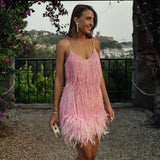 Fringe Mini Dress with Feather Trim
