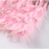 Fringe Mini Dress with Feather Trim