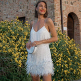 Fringe Mini Dress with Feather Trim