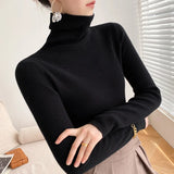 Long Sleeve Ribbed Turtleneck Knit Sweater