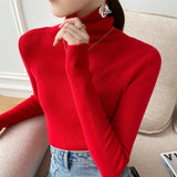 Long Sleeve Ribbed Turtleneck Knit Sweater