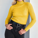 Fitted Ribbed Turtleneck Knit Sweater