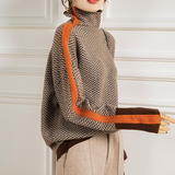 Contrast Sleeve Turtleneck Sweater
